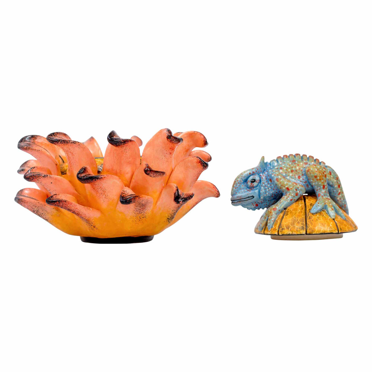 Chameleon, Protea Jewelry Box