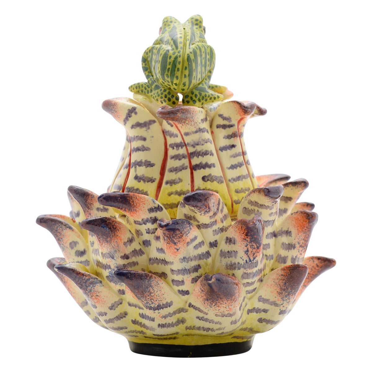 Frog, Protea Jewelry Box
