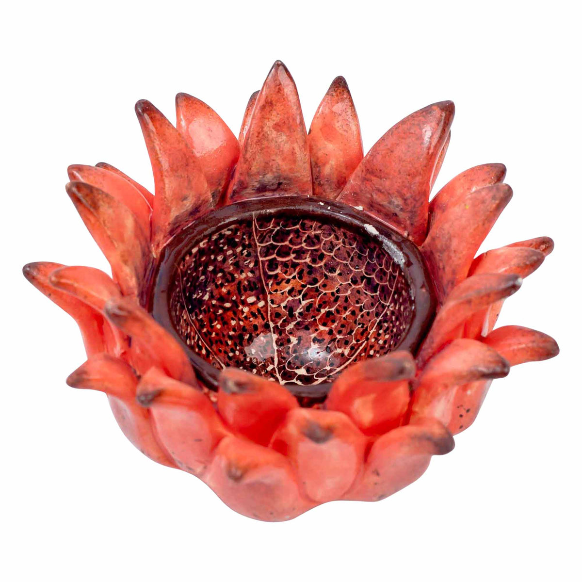 Protea Eggcup