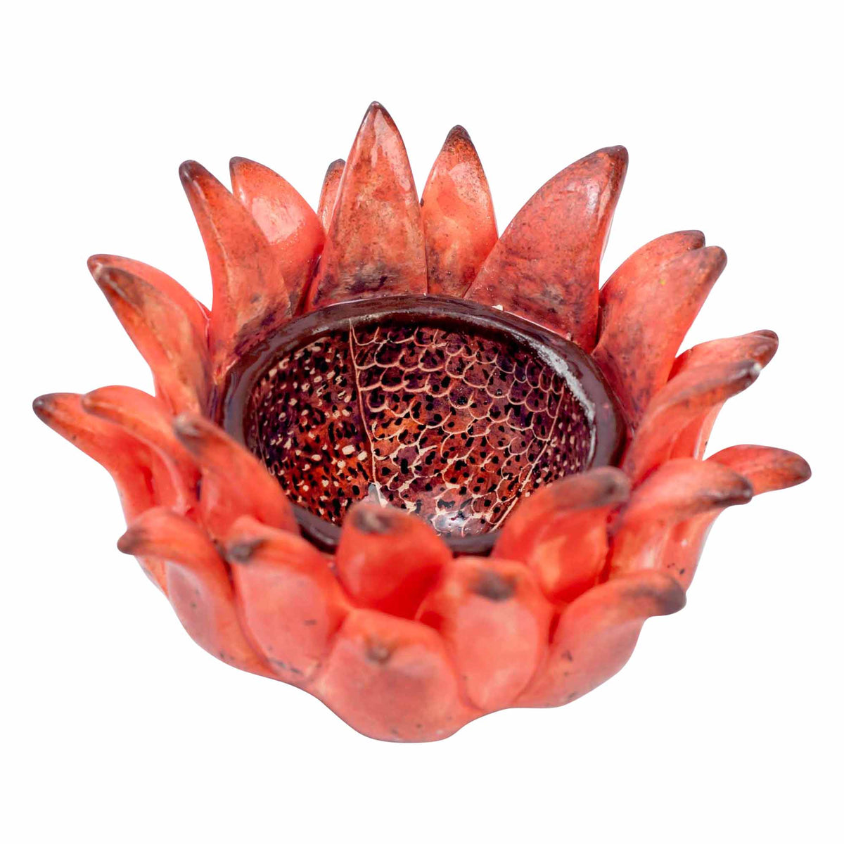 Protea Eggcup