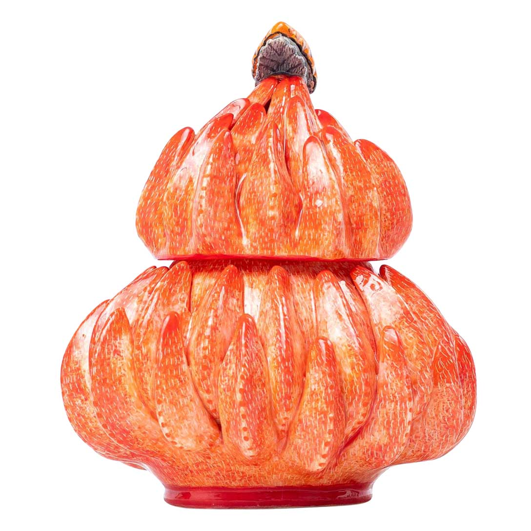 Protea & snail jewelry box