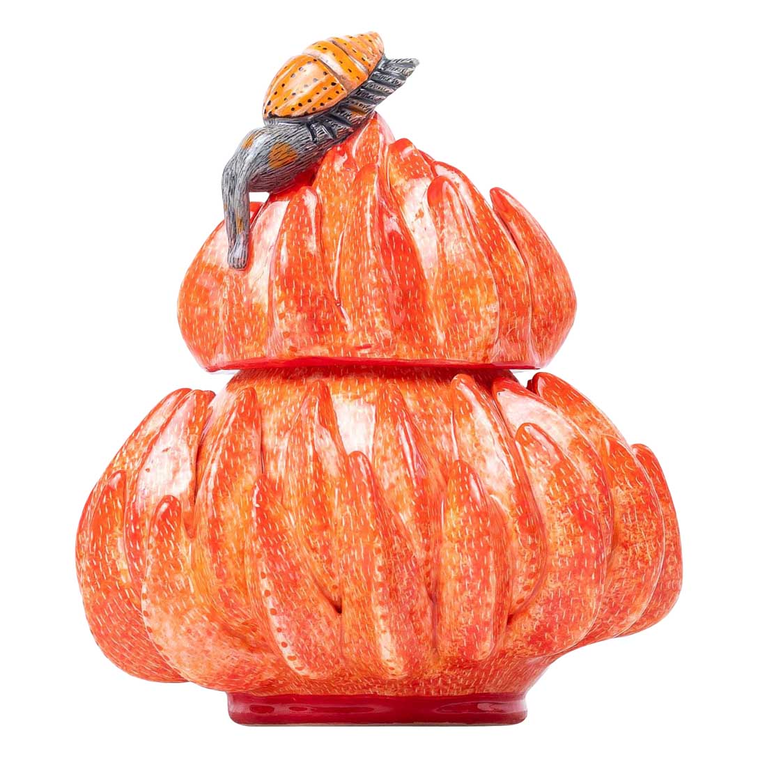 Protea & snail jewelry box
