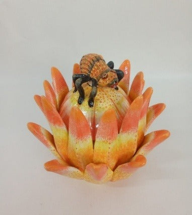 Protea jewelry box