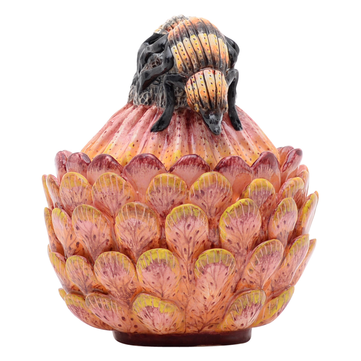 Protea & beetle jewelry box
