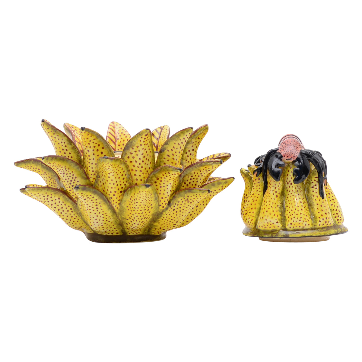 Spider on protea jewelry box
