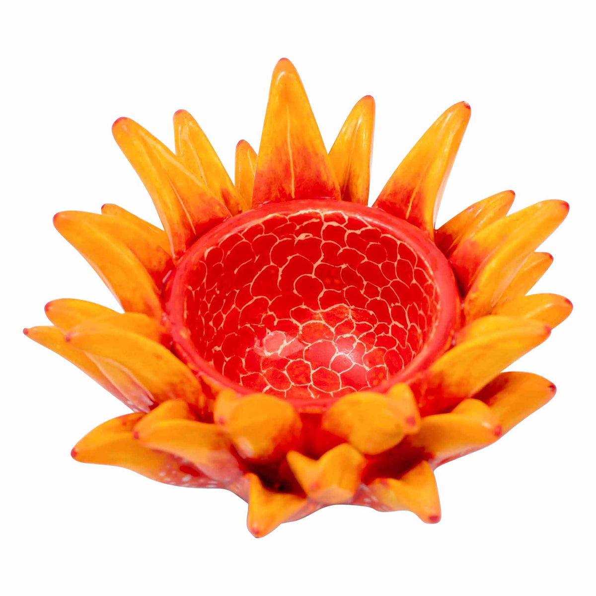 Protea Eggcup