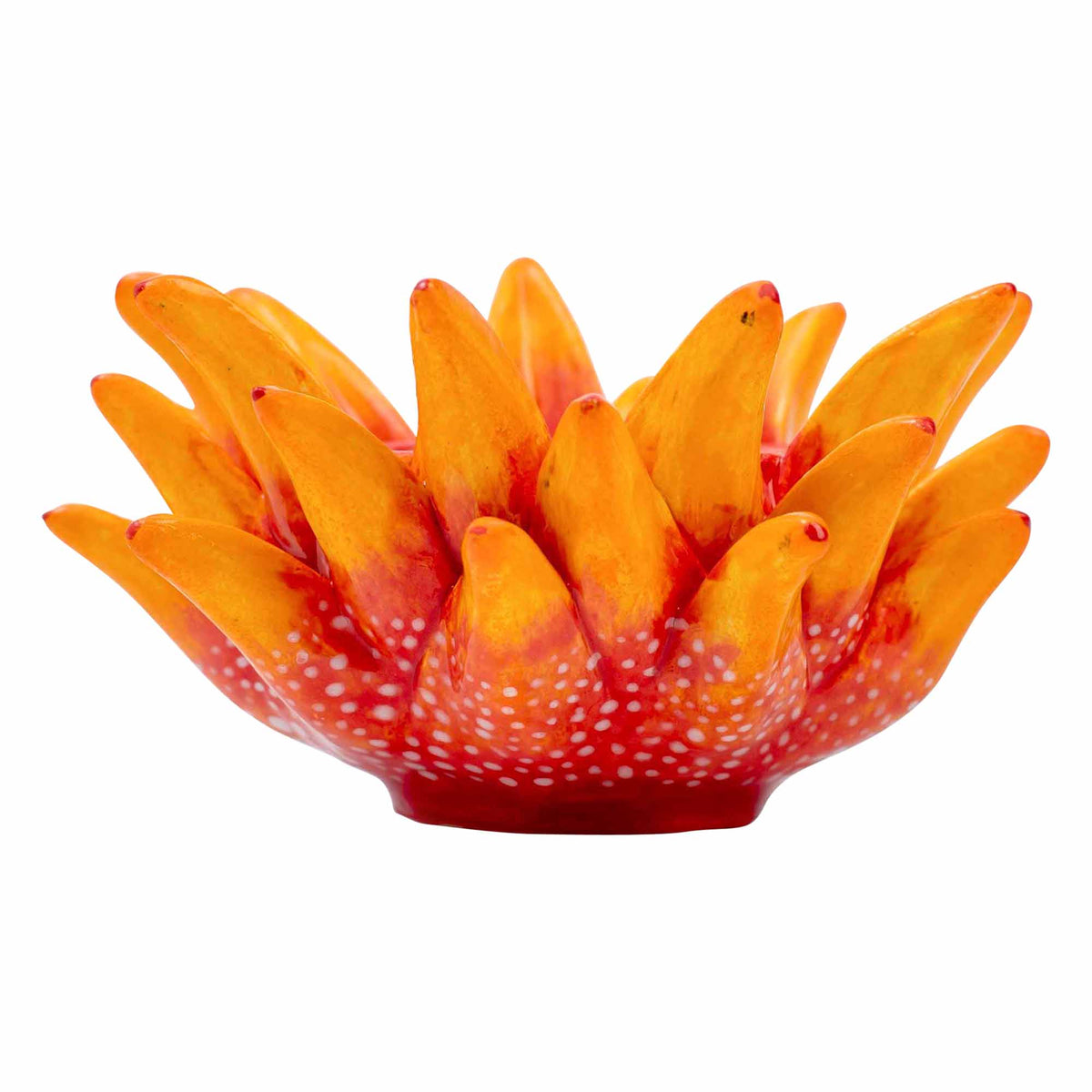 Protea Eggcup
