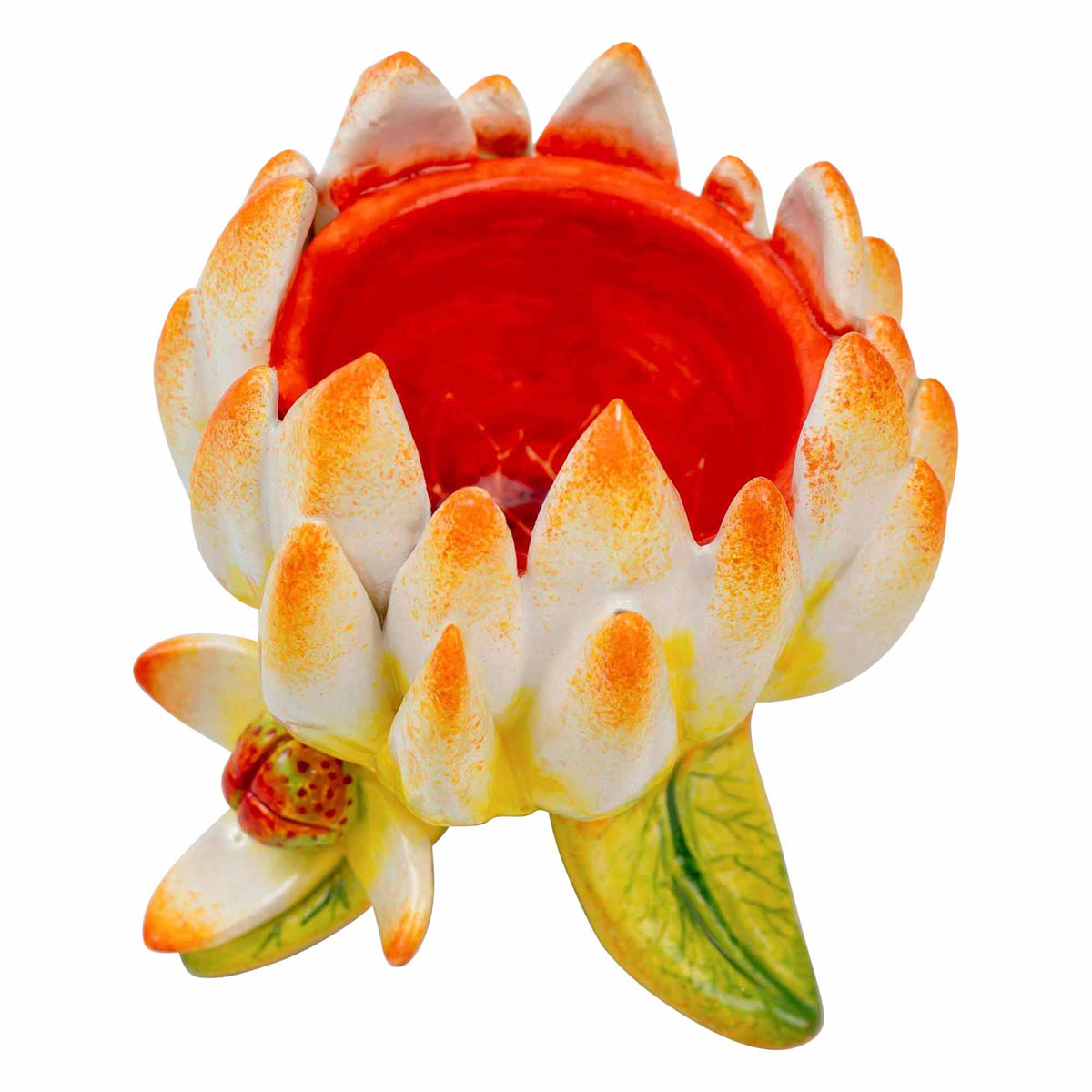 Protea Eggcup