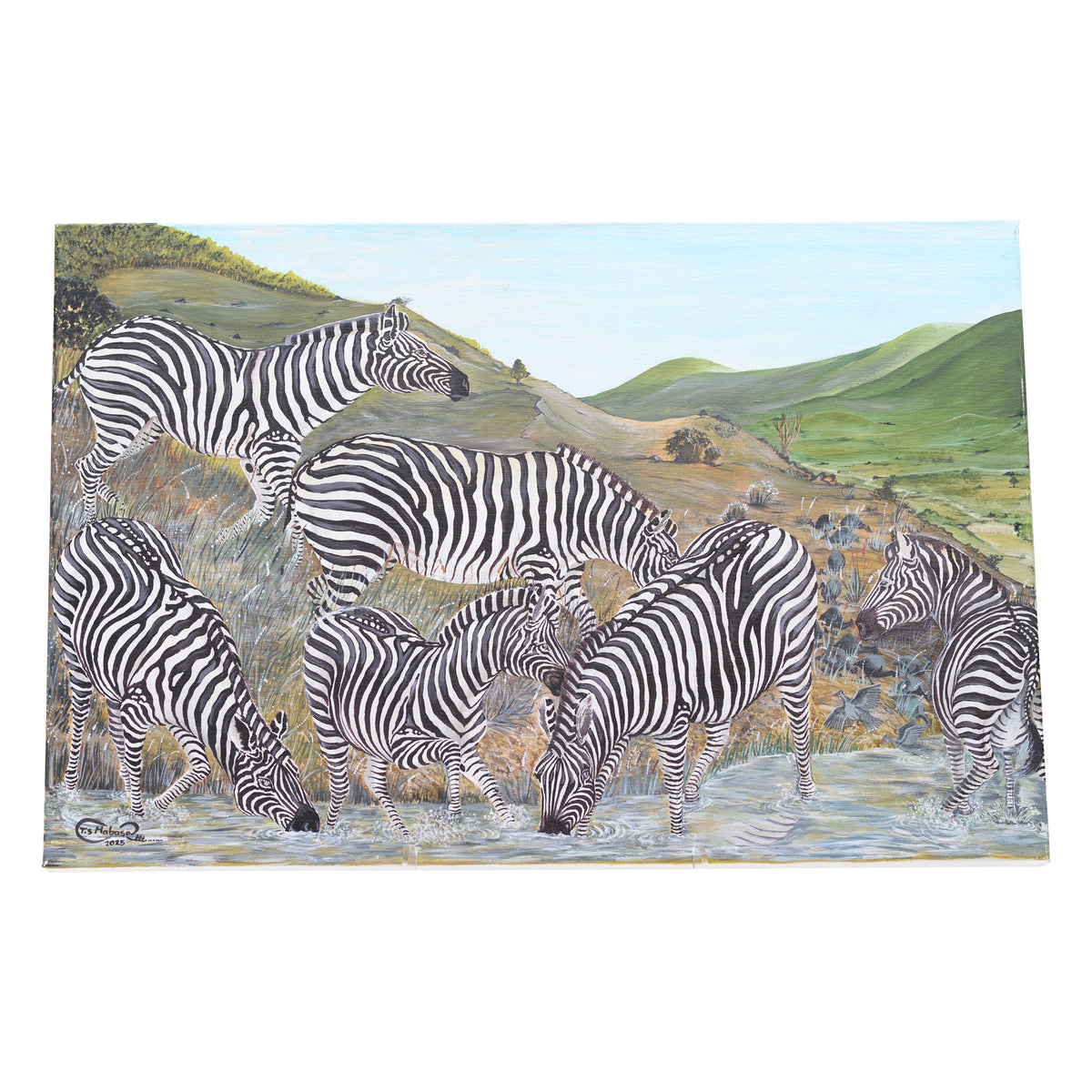 Zebra canvas