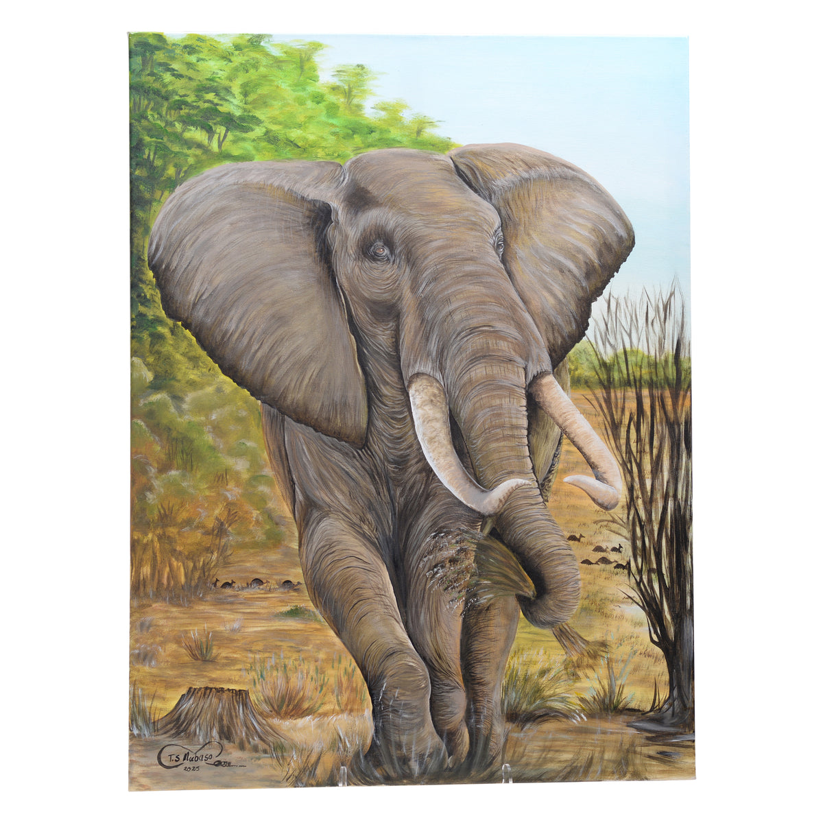 Elephant canvas