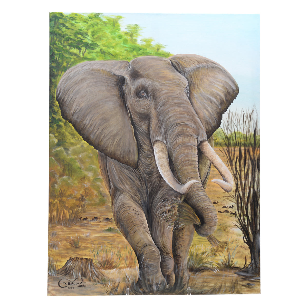 Elephant canvas