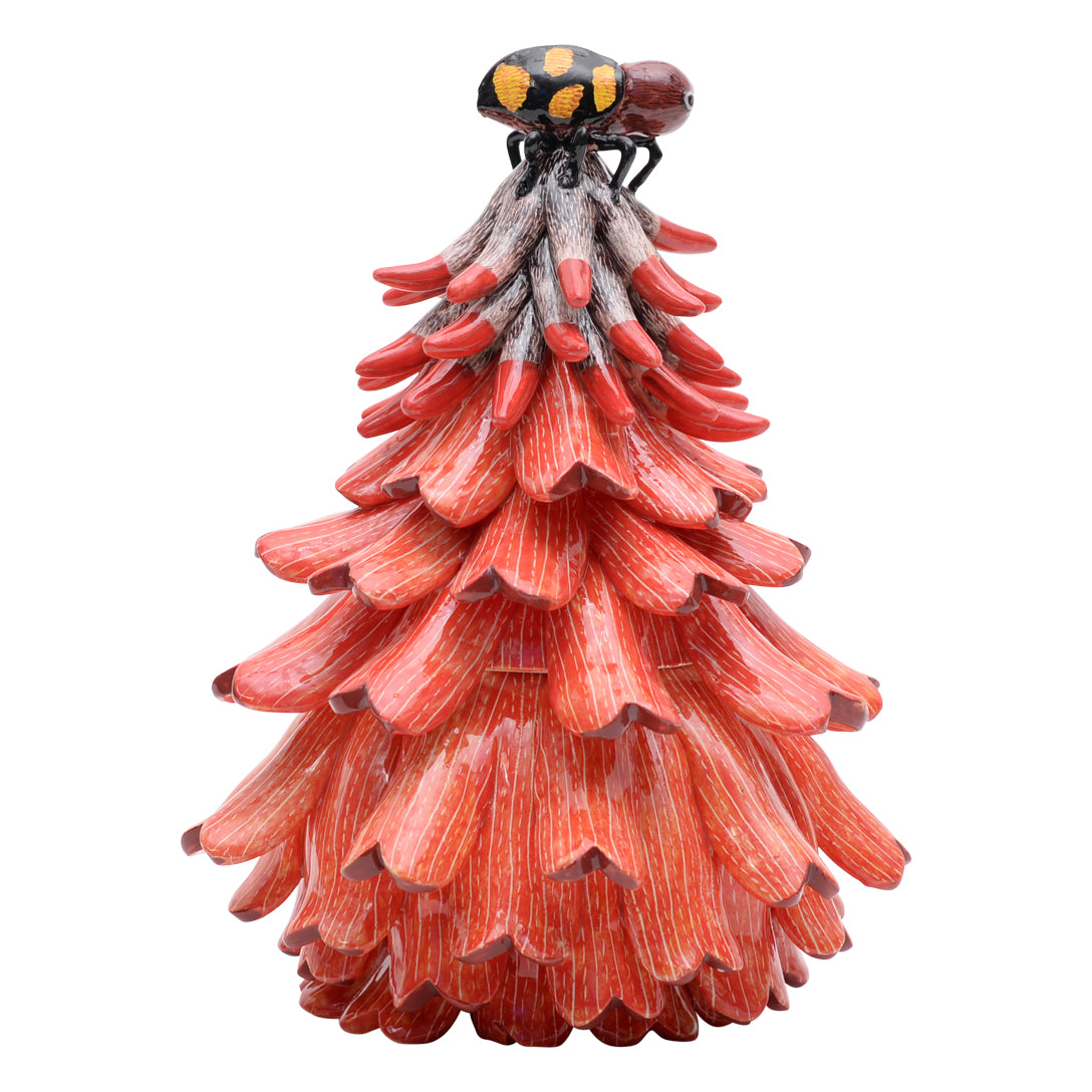 Bug on succulent jewelry box