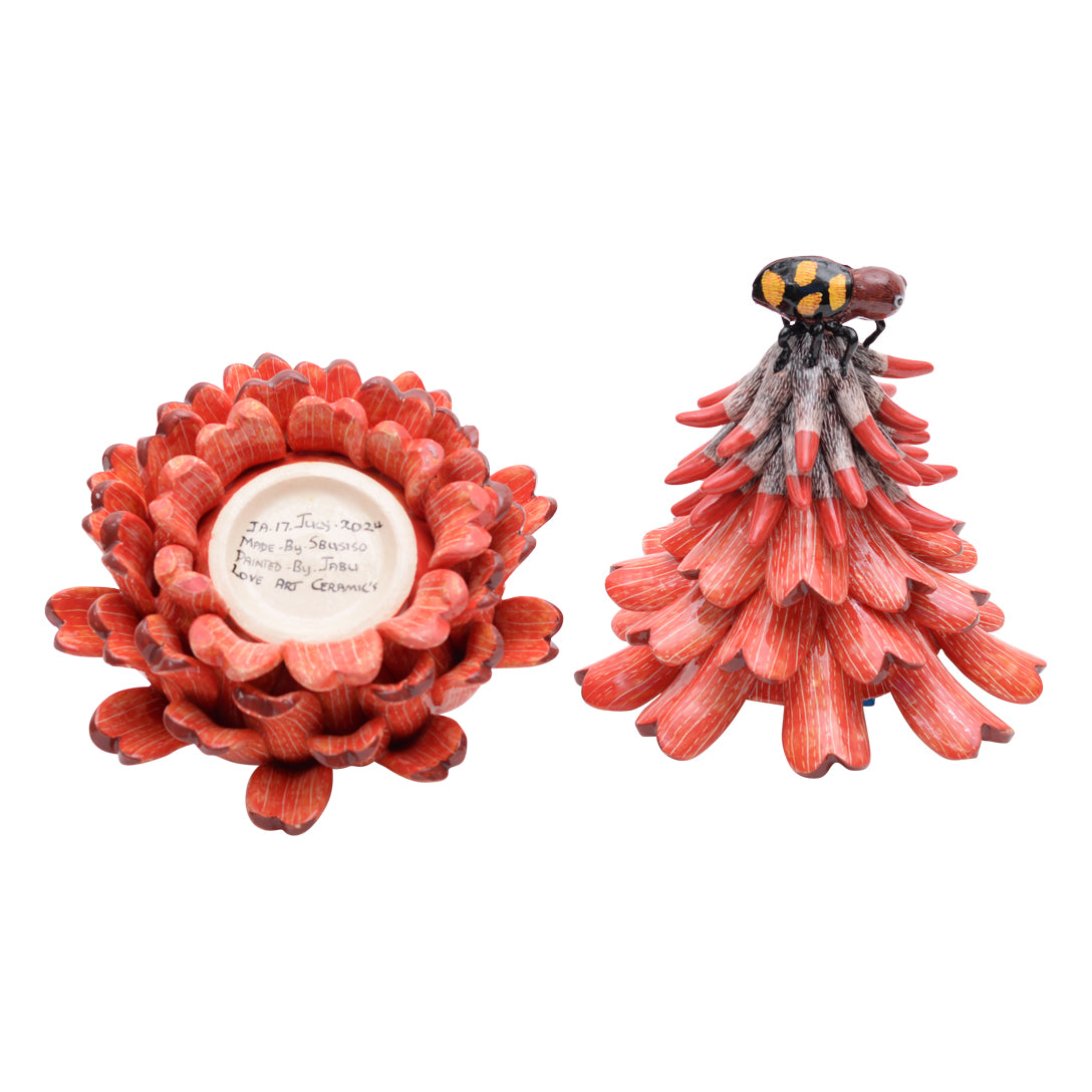 Bug on succulent jewelry box