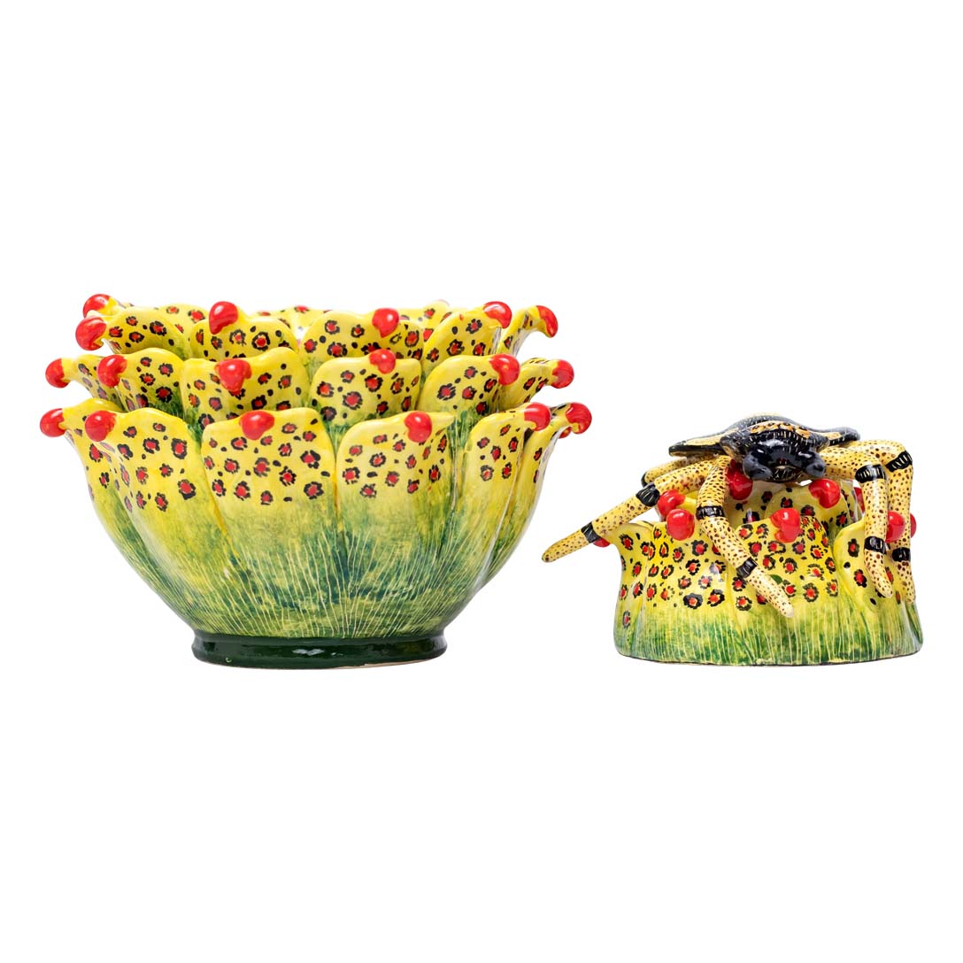 Succulent spider jewelry box