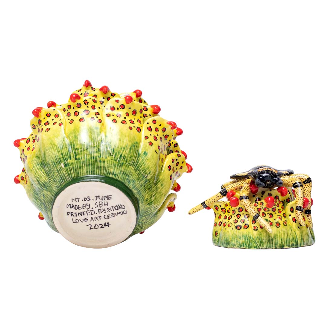 Succulent spider jewelry box