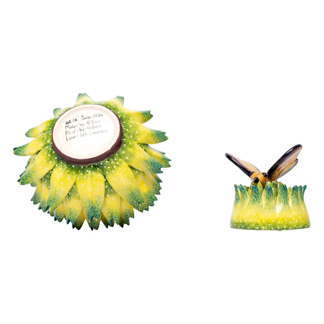 Succulant, butterfly jewelry box