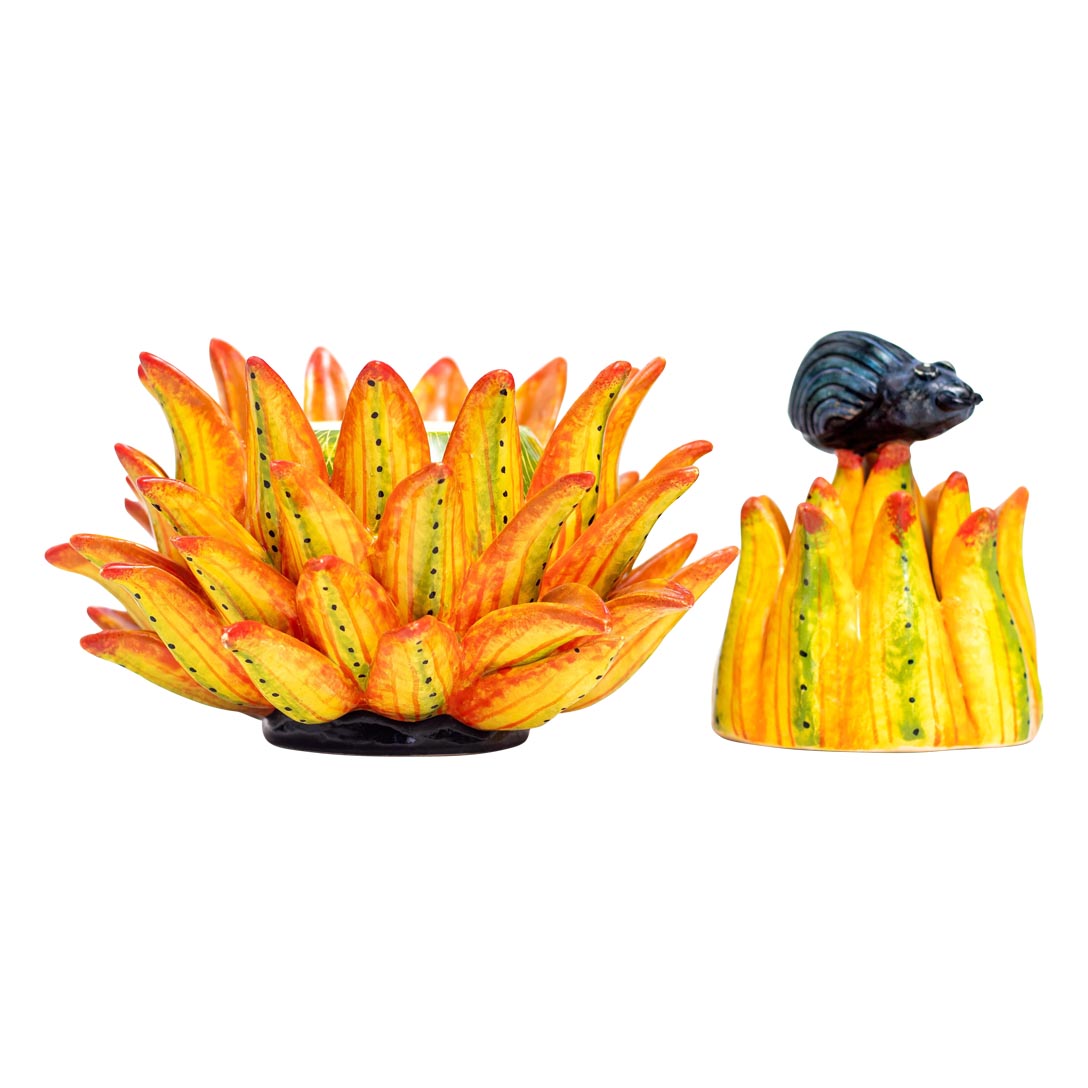 Beatle on protea jewelry box