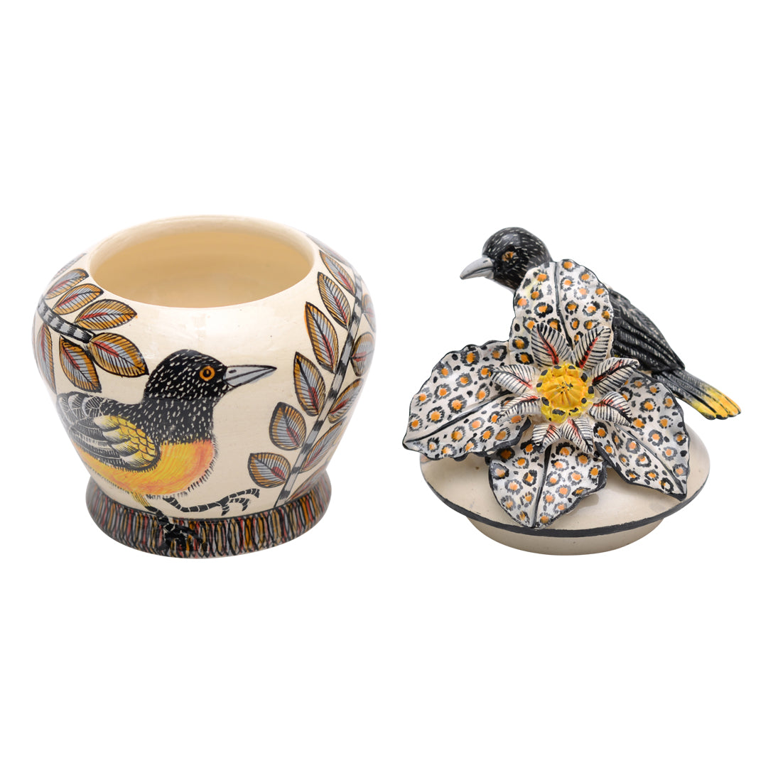 Bird novelty box