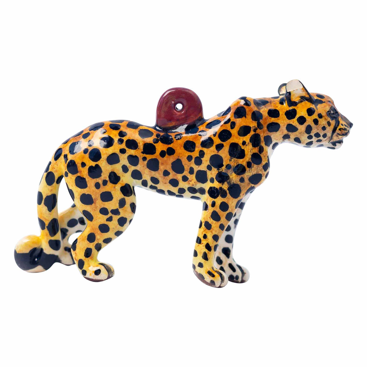 Wild Dog Bowl