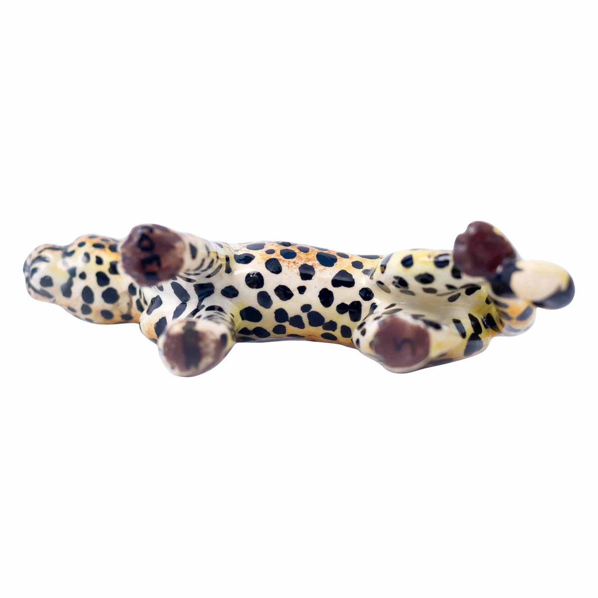 Wild Dog Bowl