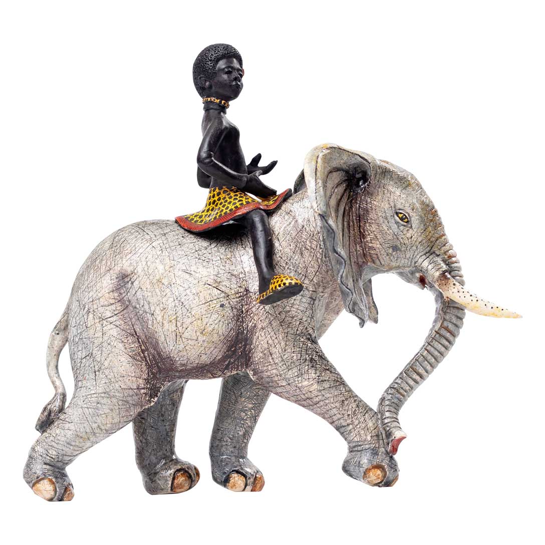 Elephant rider