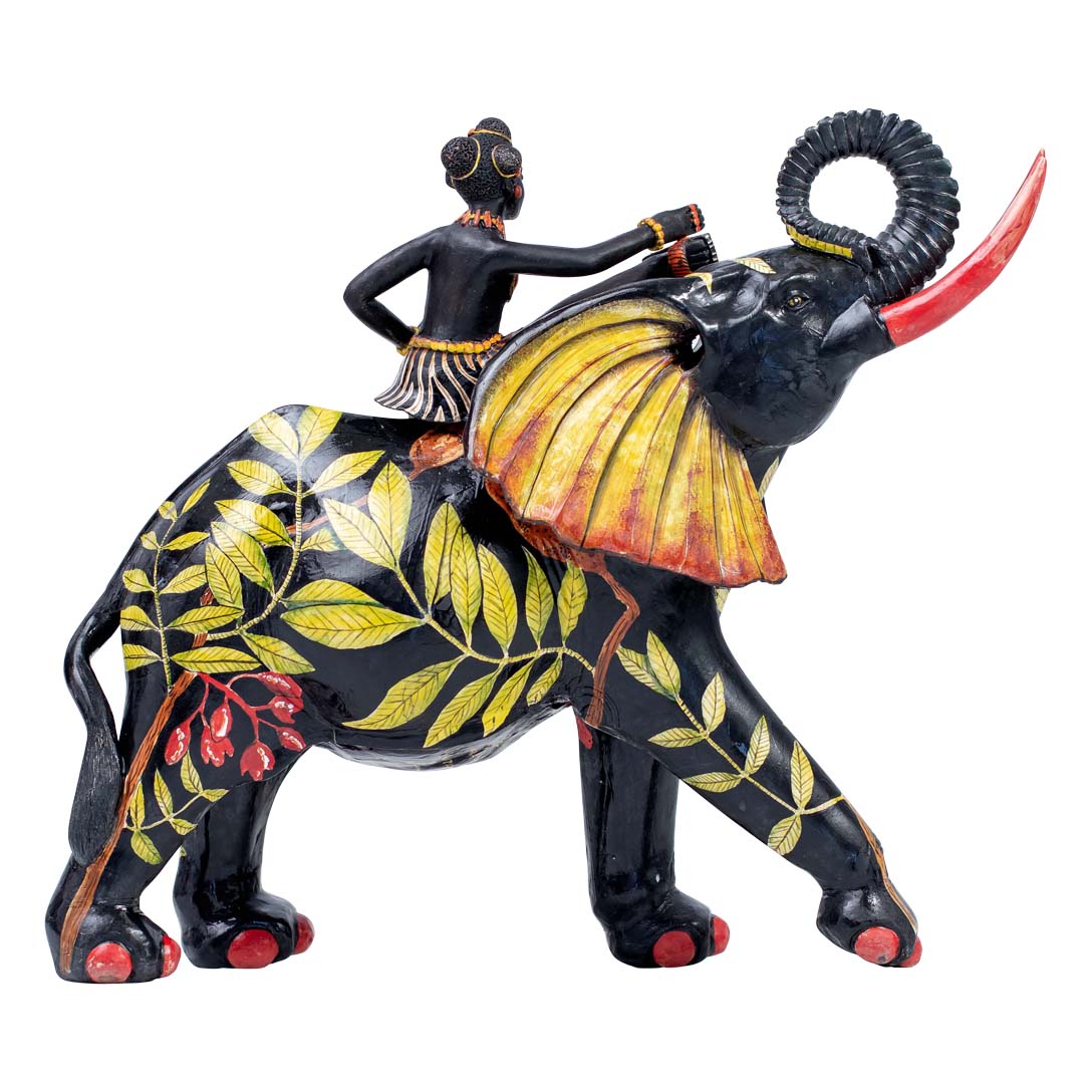 Elephant rider