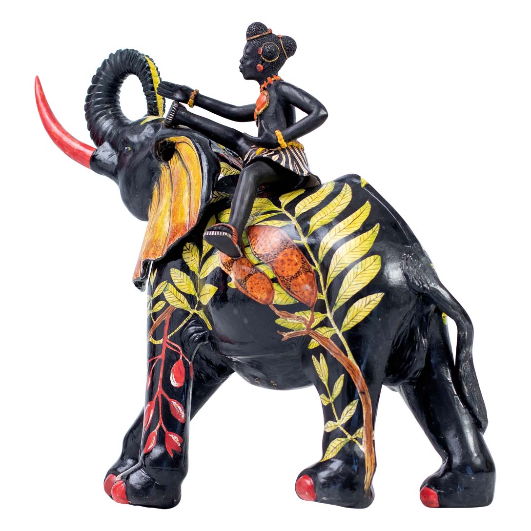 Elephant rider