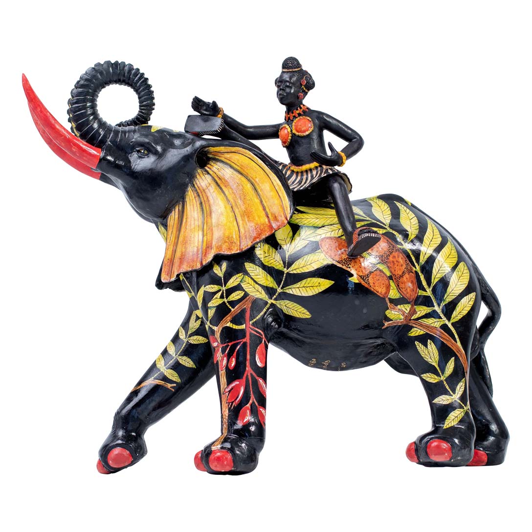 Elephant rider