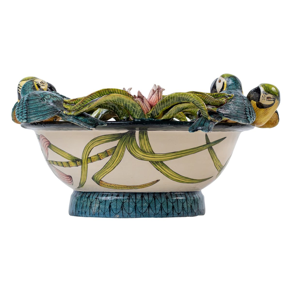 Parrot bowl