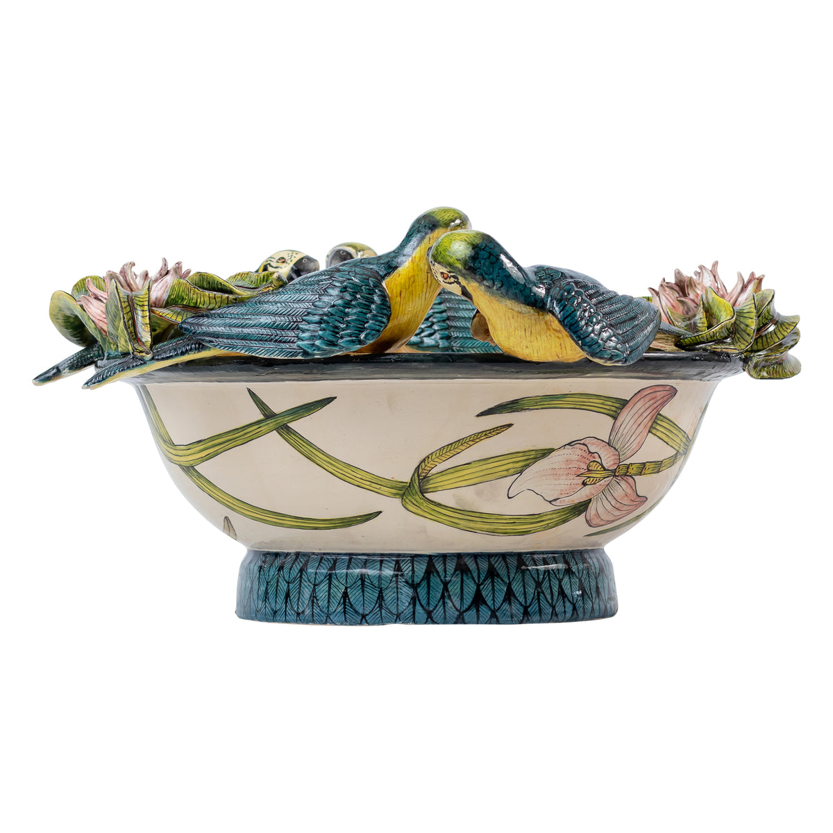 Parrot bowl