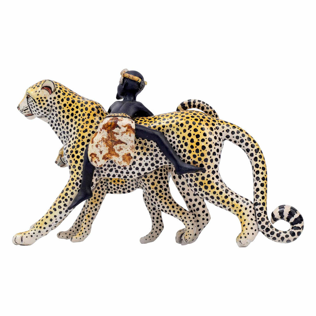 Cheetah Rider