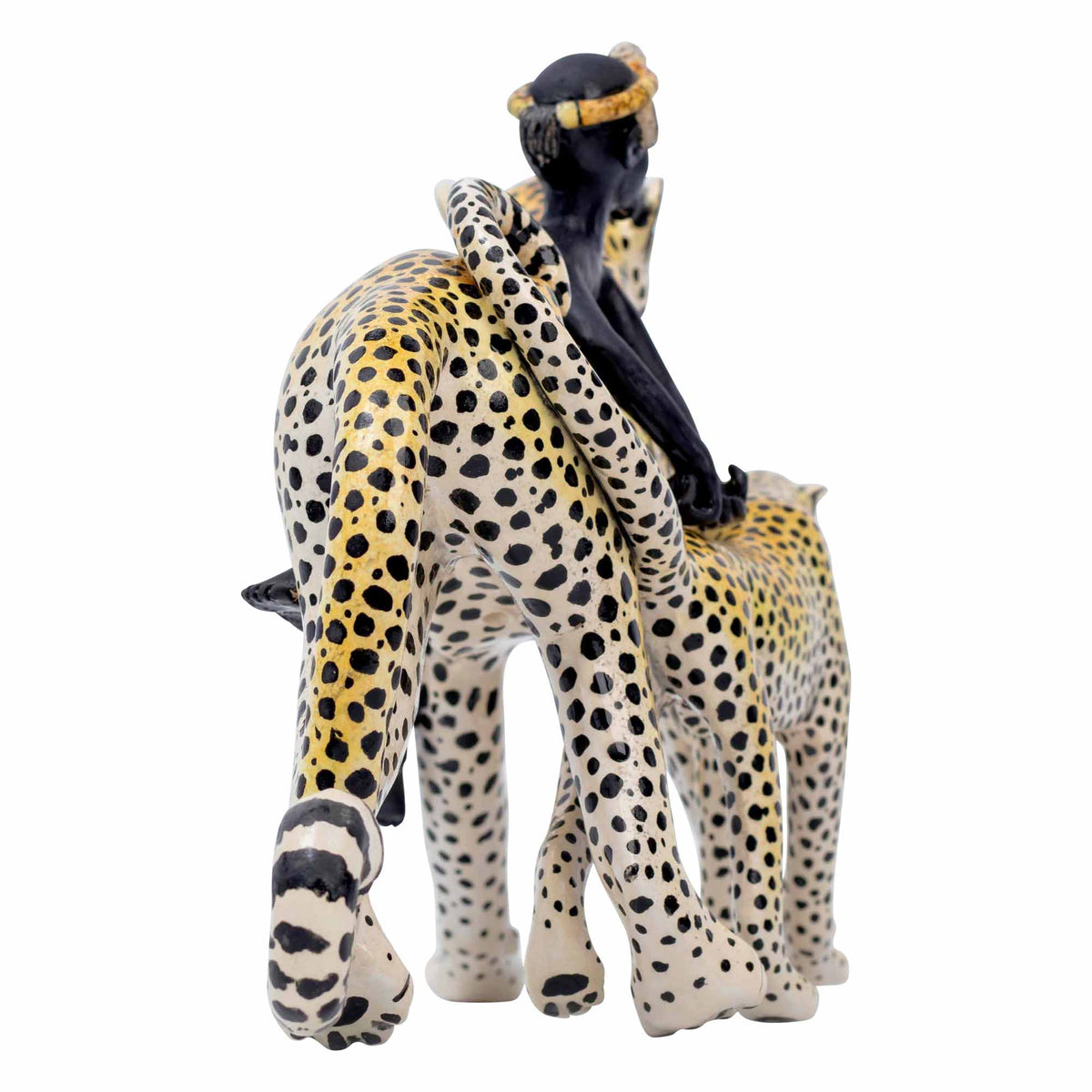 Cheetah Rider