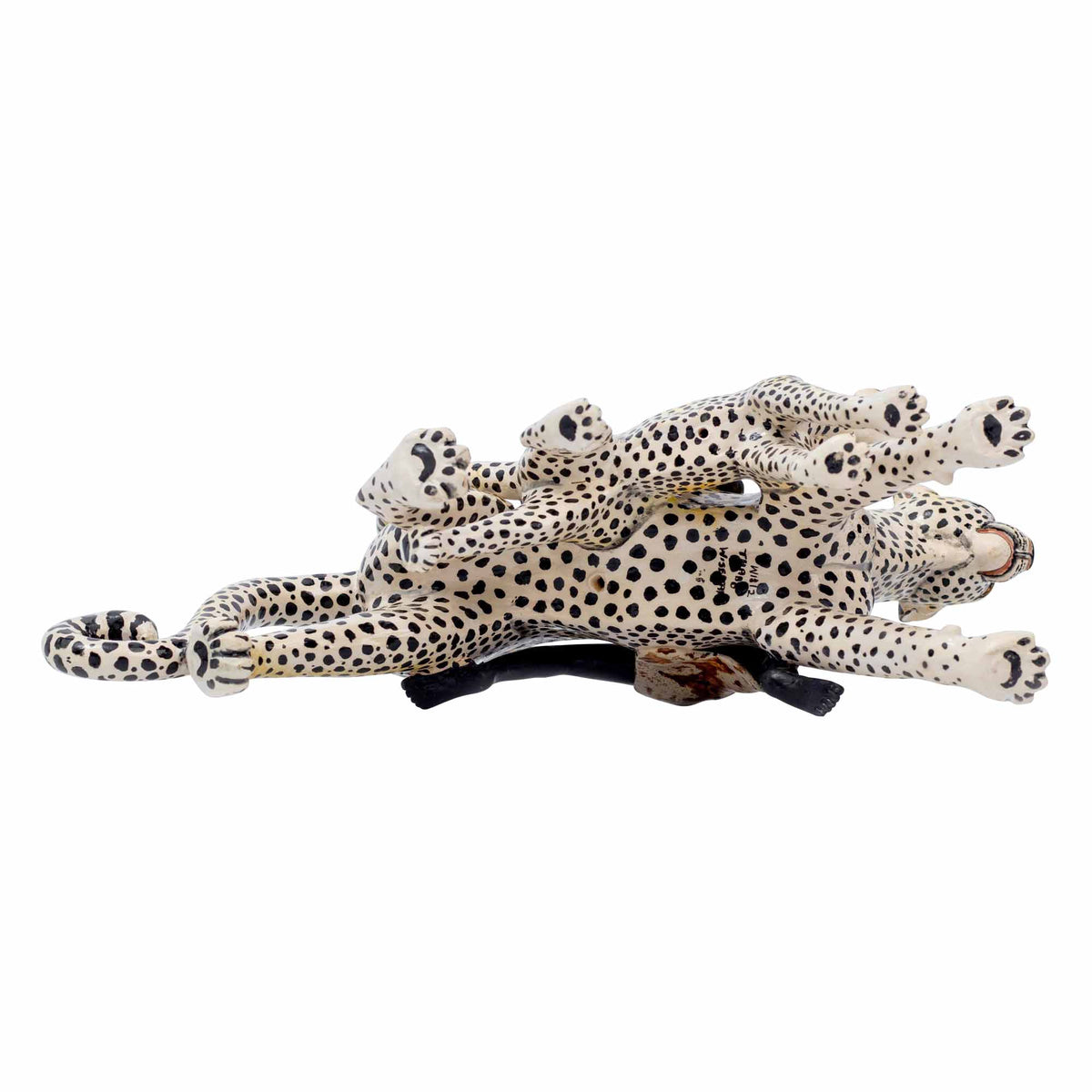 Cheetah Rider