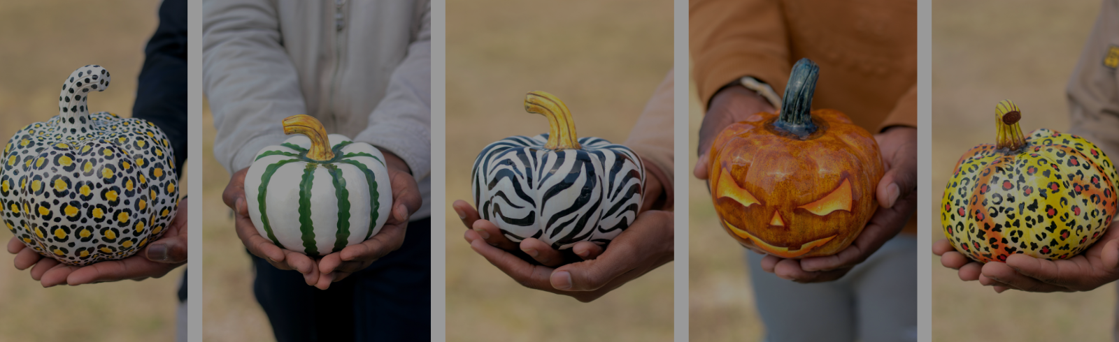 The Pumpkin Patch: Fall in Full Color - Unveiling