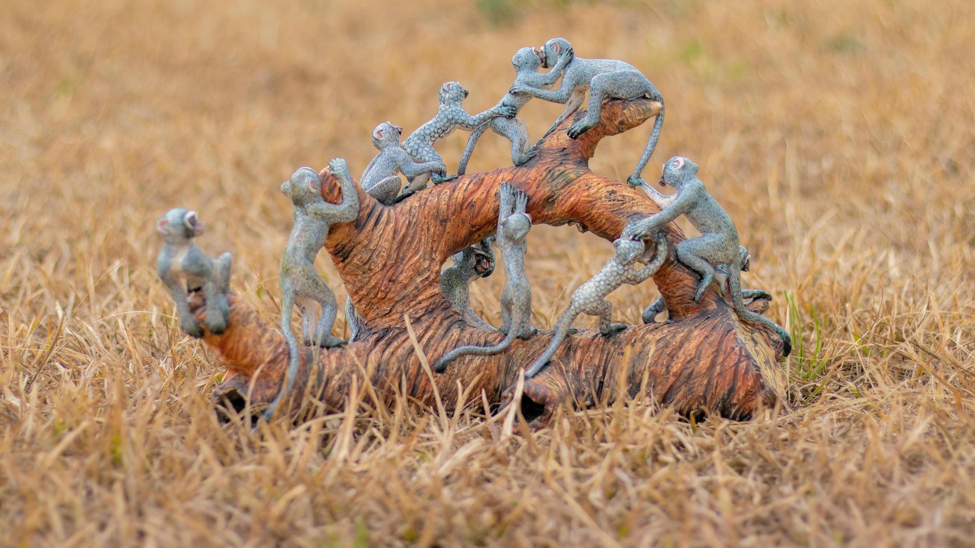 Monkey Paradise