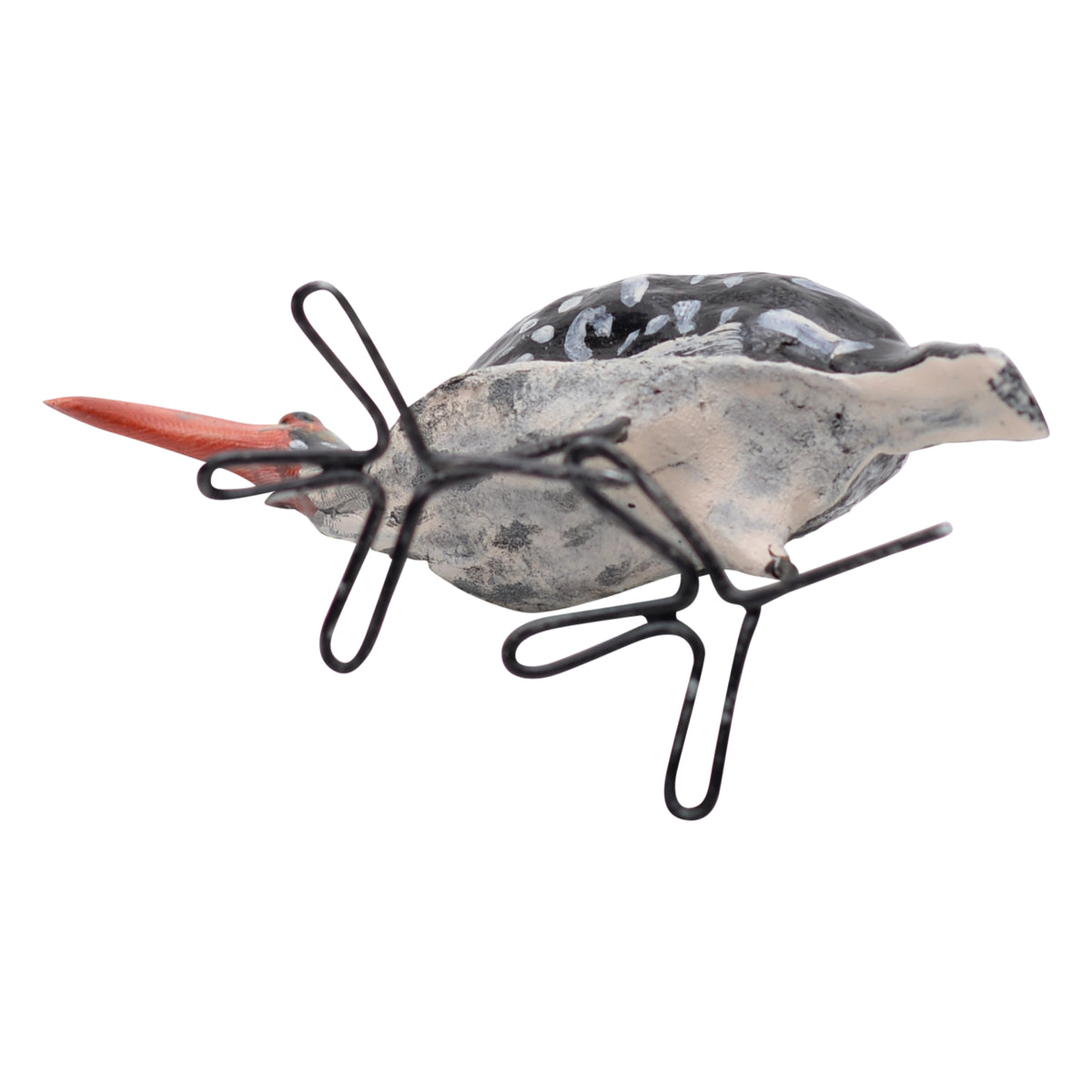 Southern red-billed hornbill ornament