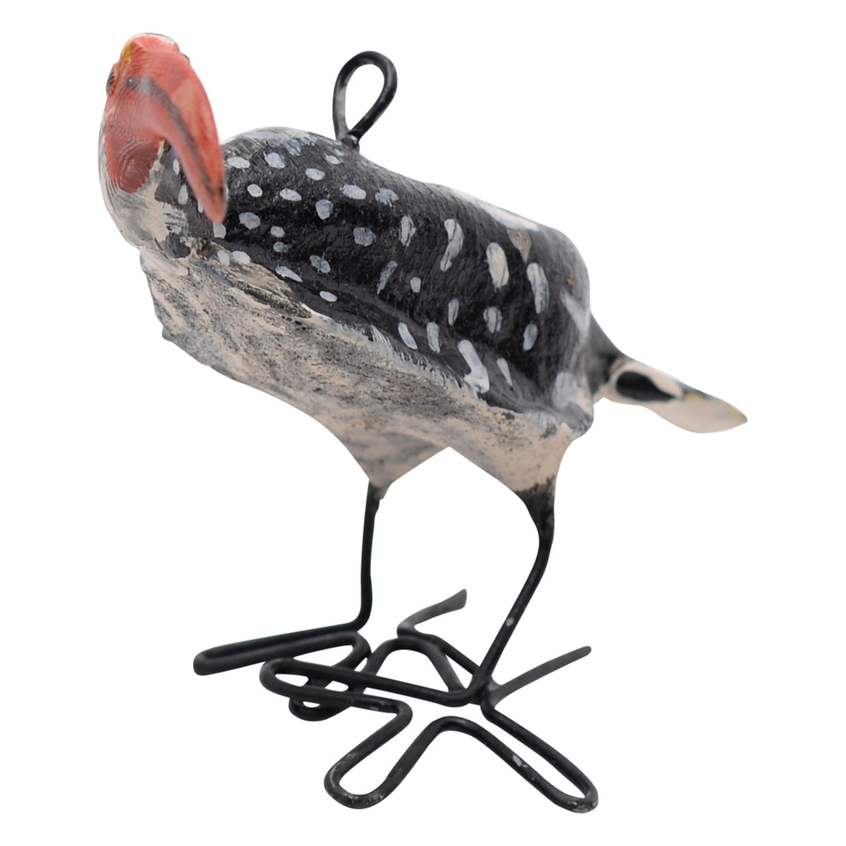 Southern red-billed hornbill ornament
