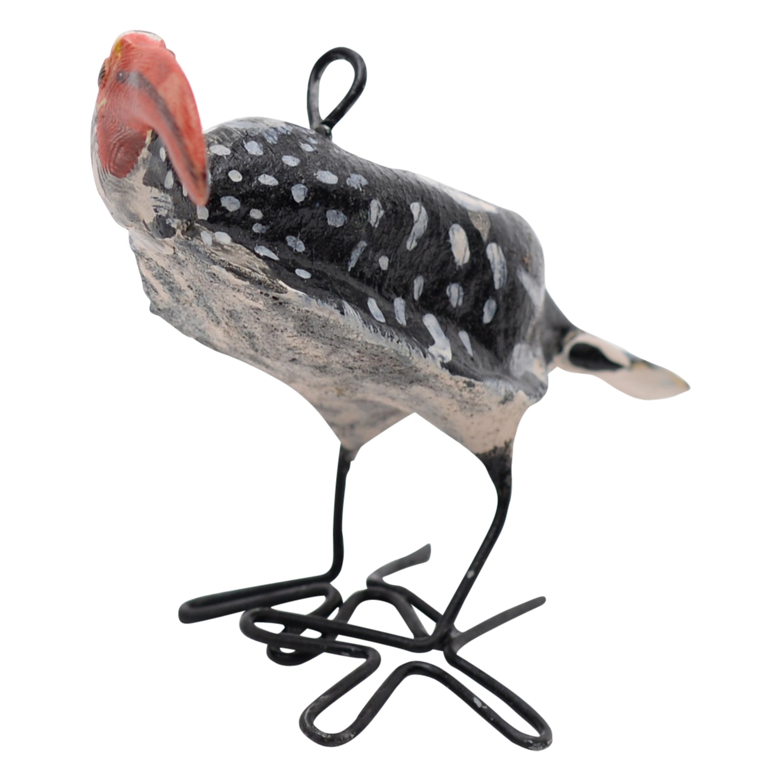 Southern red-billed hornbill ornament