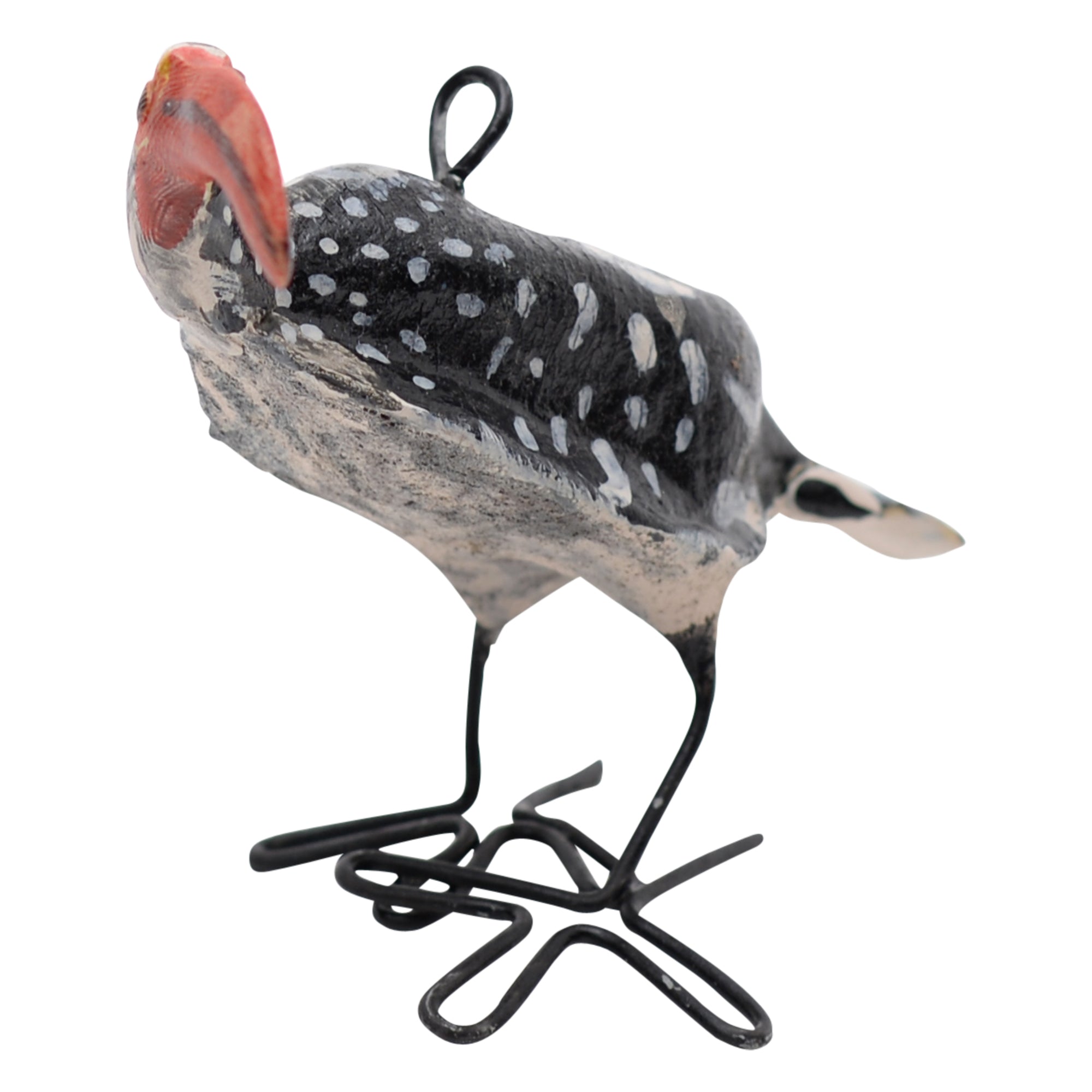 Southern red-billed hornbill ornament