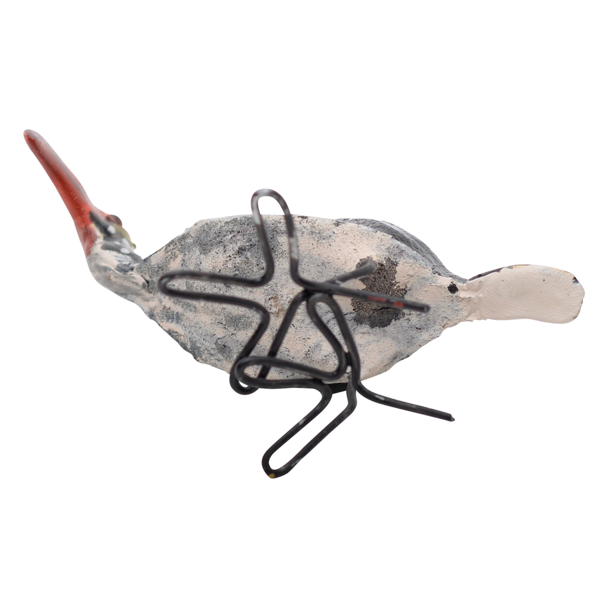 Southern red-billed hornbill ornament