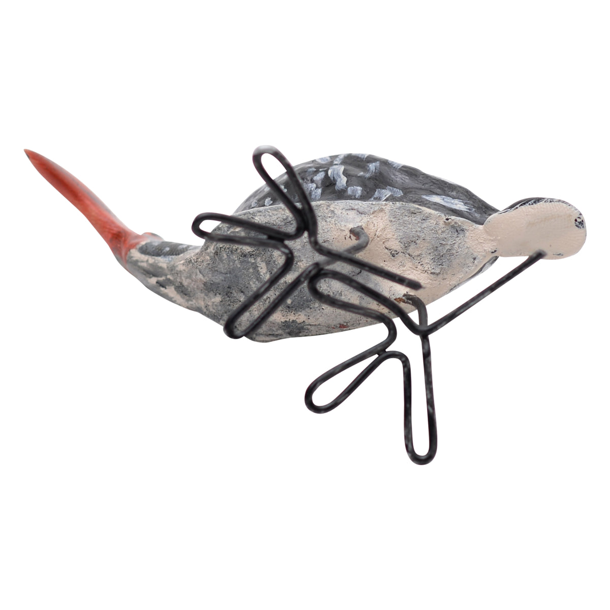 Southern red-billed hornbill ornament