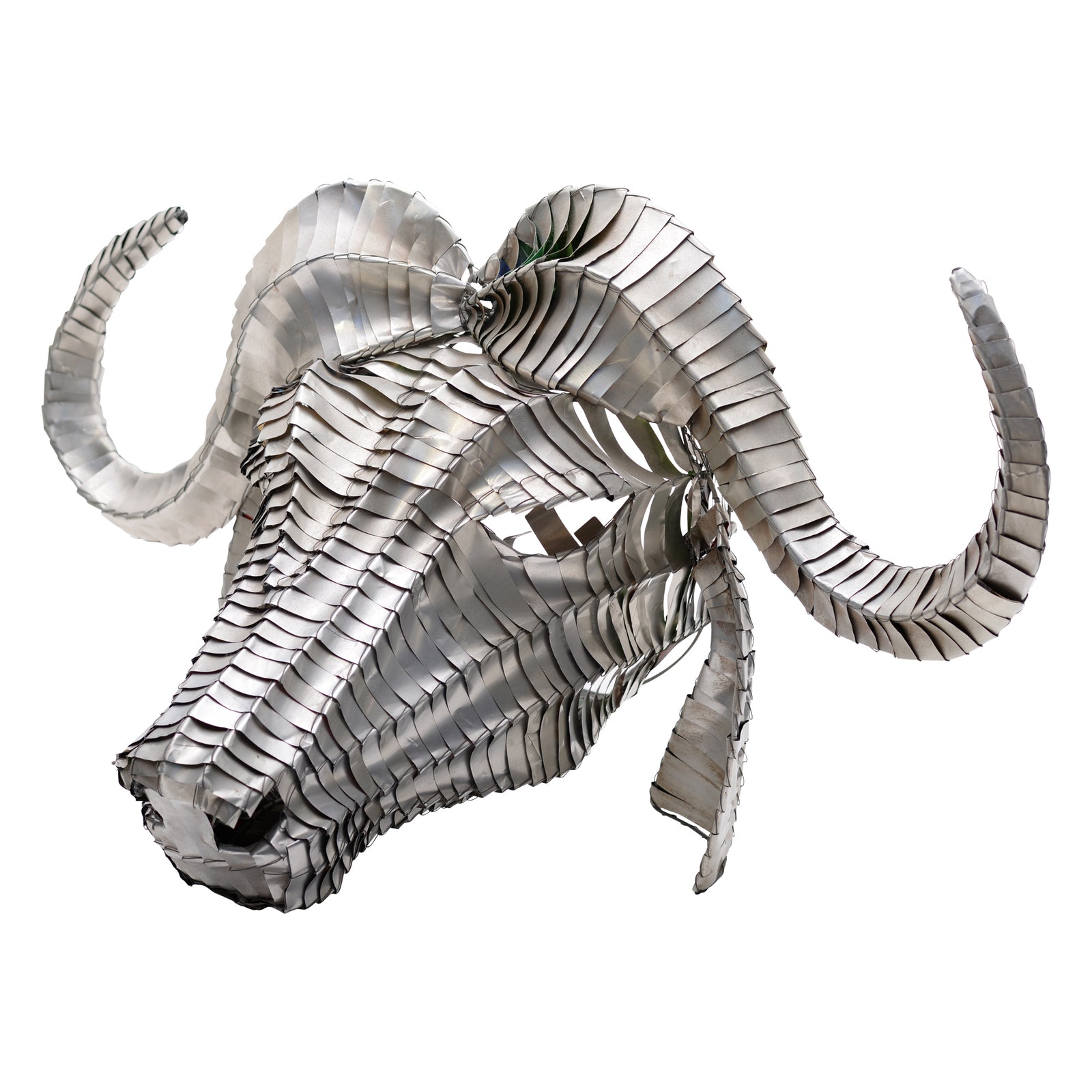 Tin can cape buffalo head mount wall