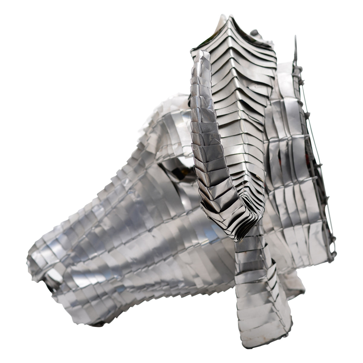 Tin can cape buffalo head mount wall