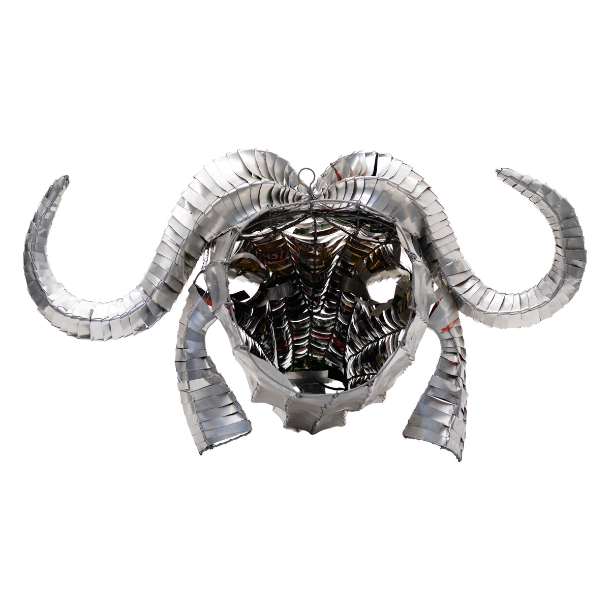Tin can cape buffalo head mount wall