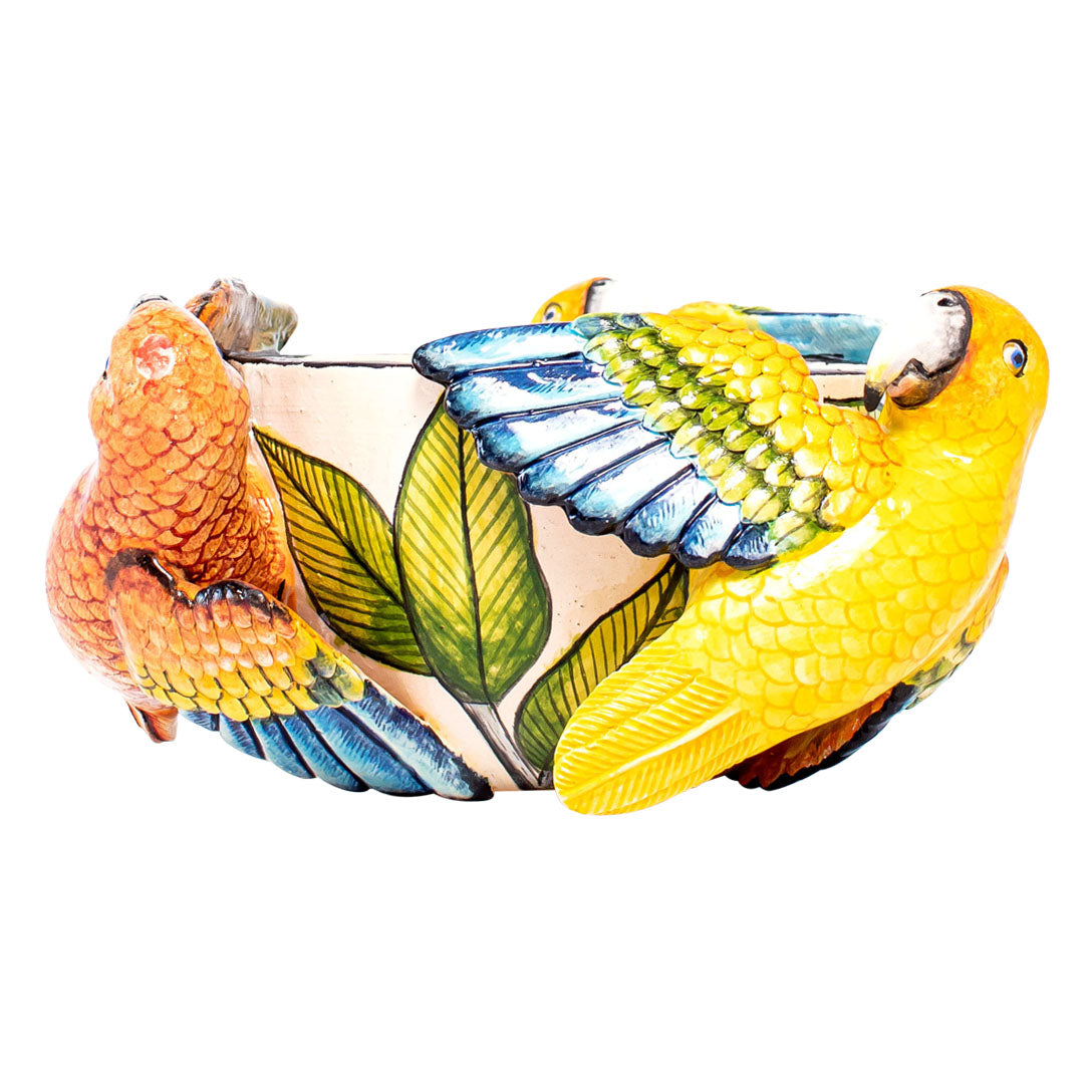 Parrot peanut bowl