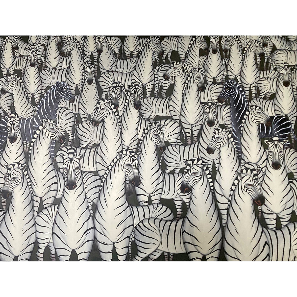 Zebras Tagged 