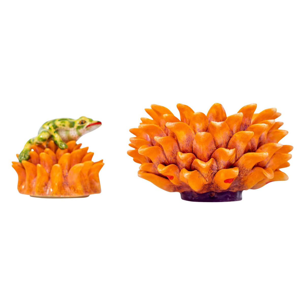 Frog & protea jewelry box