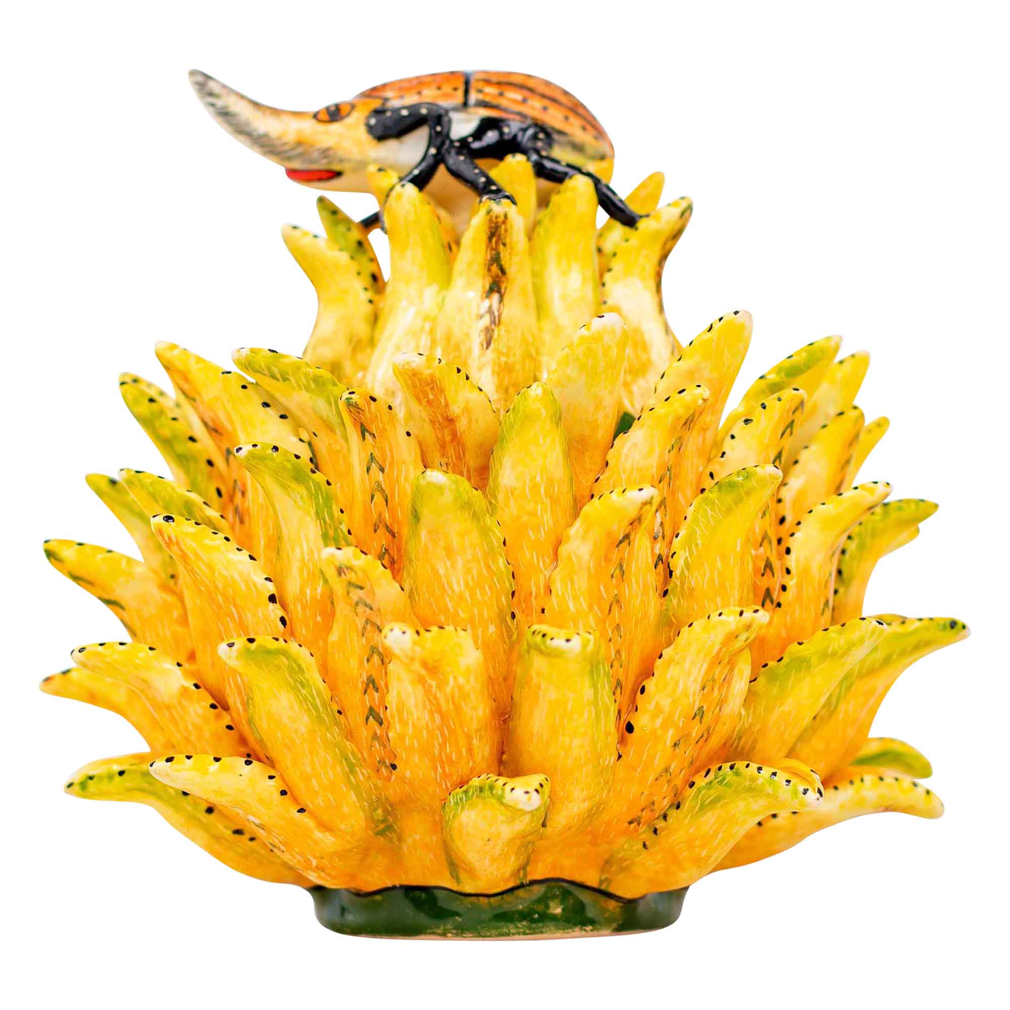 Beetle & protea jewelry box