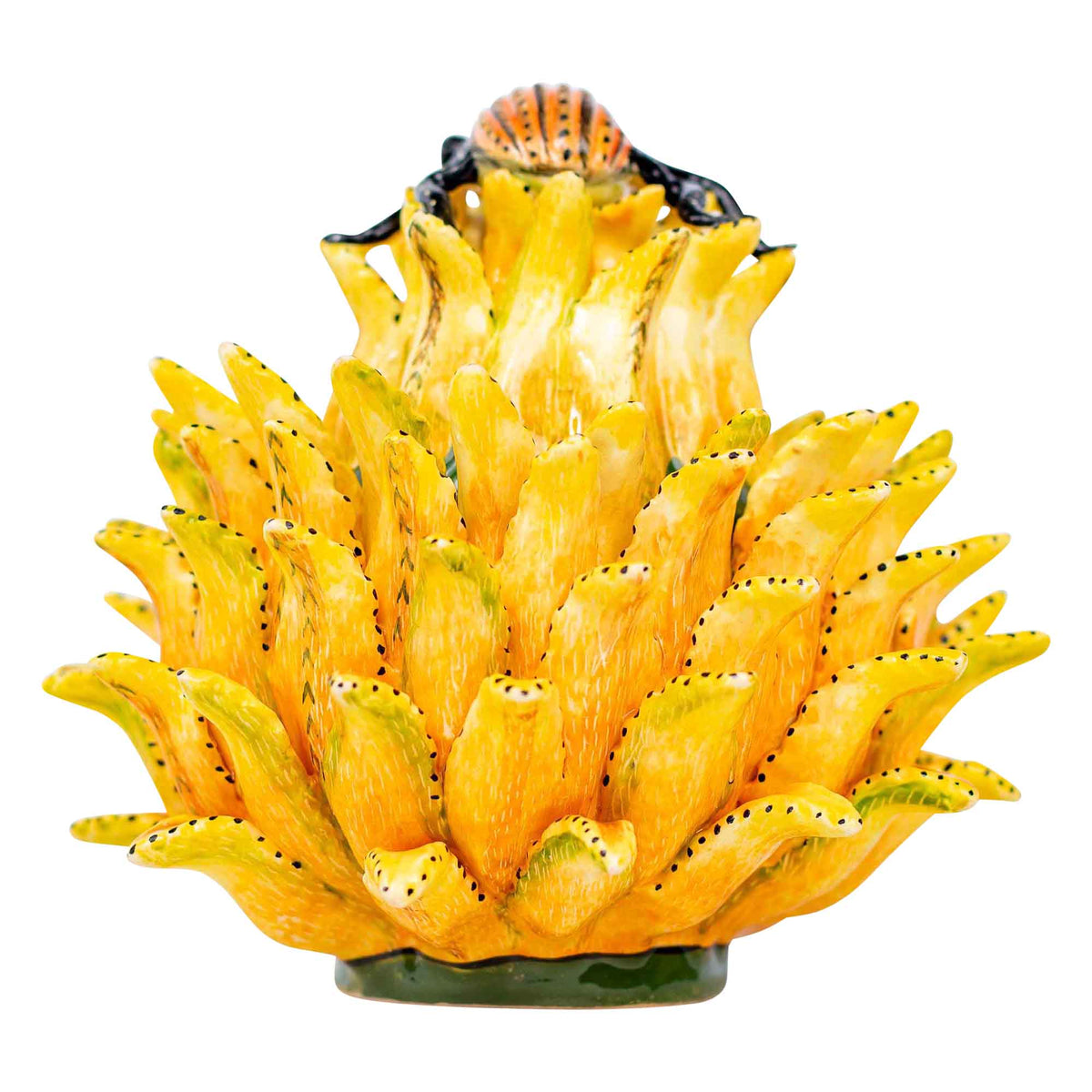 Beetle & protea jewelry box