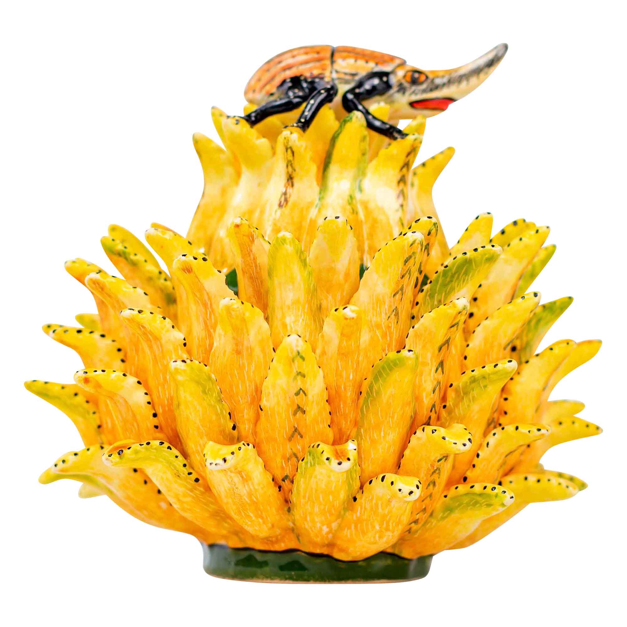Beetle & protea jewelry box
